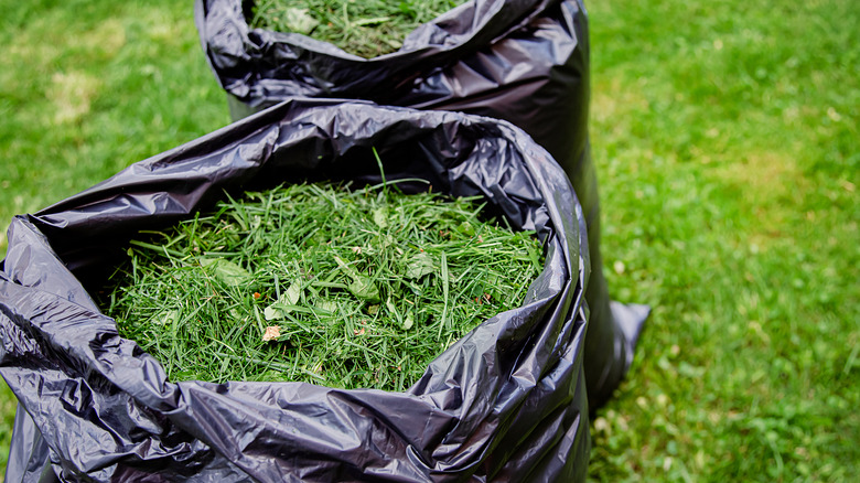 trash bag with grass clippings