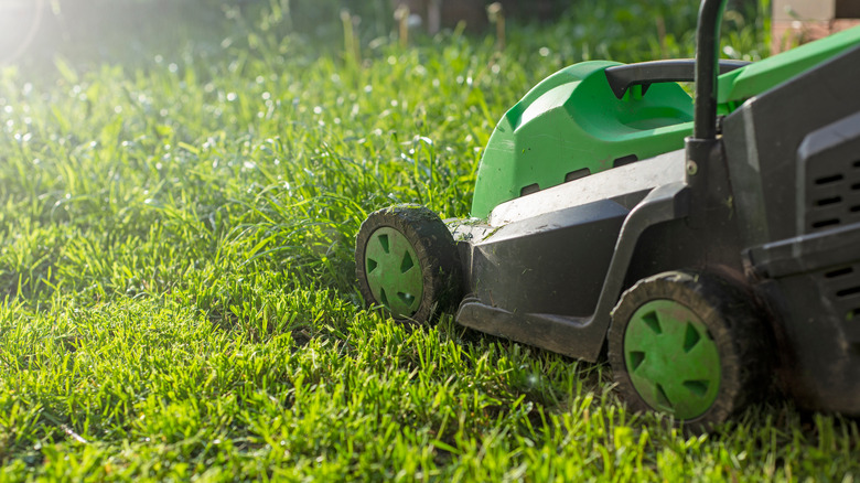 close-up of lawn mower