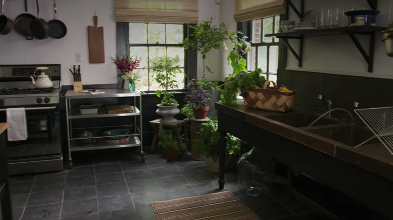 kitchen with plants in windows