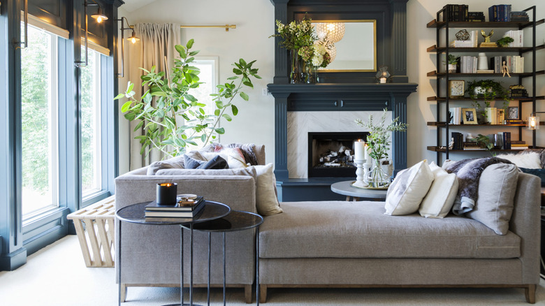 living room with shelves