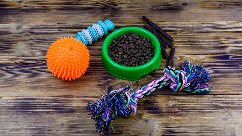 Bowl of dog food and dog toys