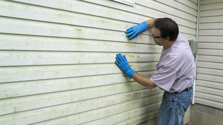 Cleaning mildew from siding 