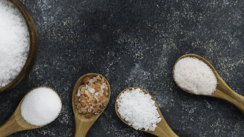 Varieties of salt on wooden spoons