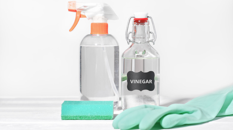 Vinegar in spray bottle