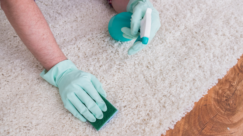 person scrubbing carpet