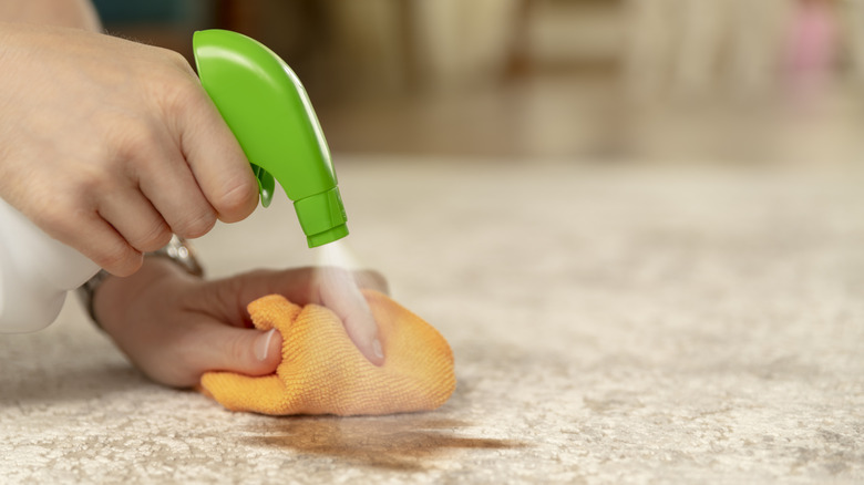 Person cleaning carpet