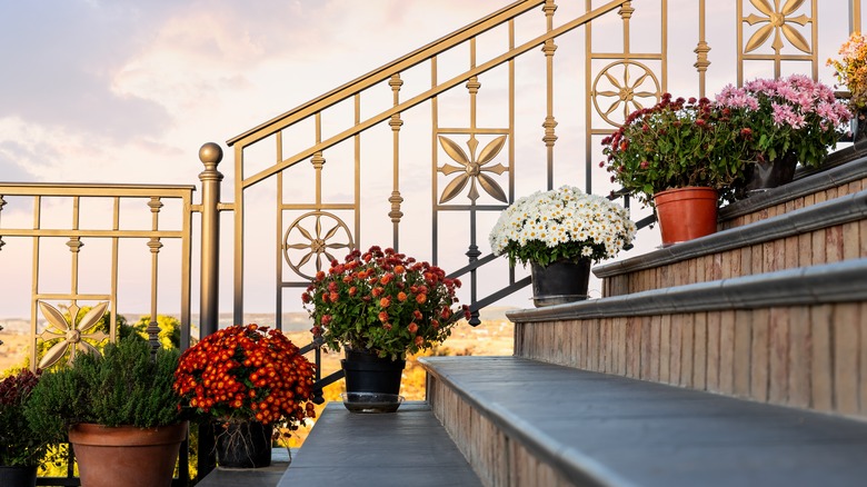 gold ornate staircase