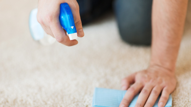 spraying carpet stain 