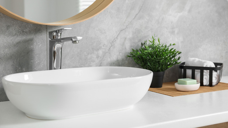 otted artificial plant, rolled towels, and soap near sink on bathroom vanity