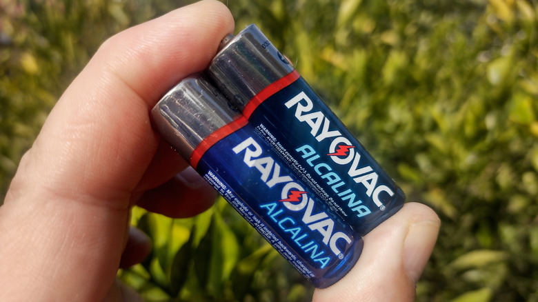 Hand holding Rayovac alkaline batteries