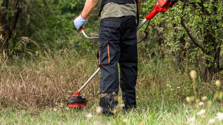 Battery-powered weed eaters