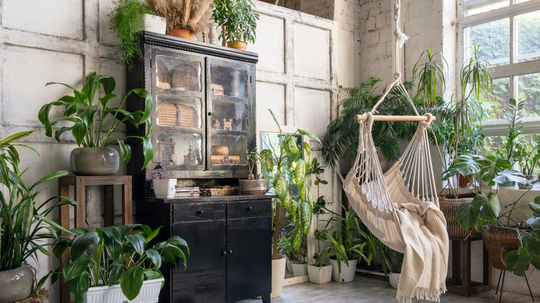 rustic room with houseplants and hammock