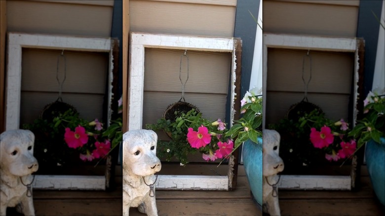 window and fry basket planter