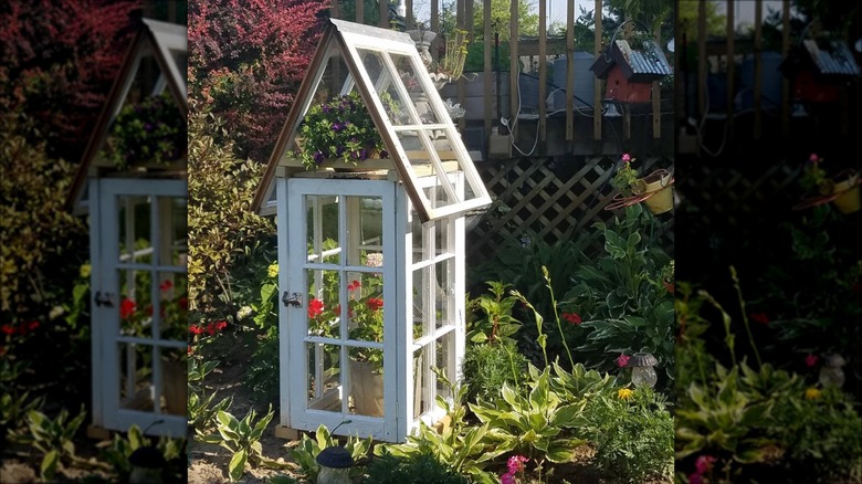 mini repurposed window greenhouse
