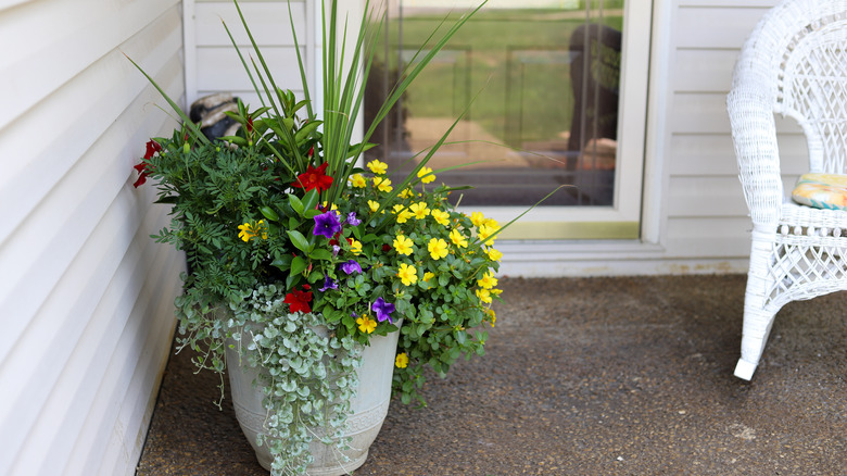 shaded porch with flower pot