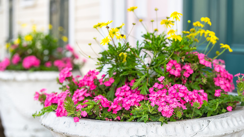 flower pots on front porch