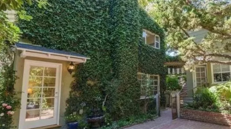 home covered in ivy