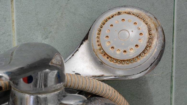 Limescale deposits on a showerhead