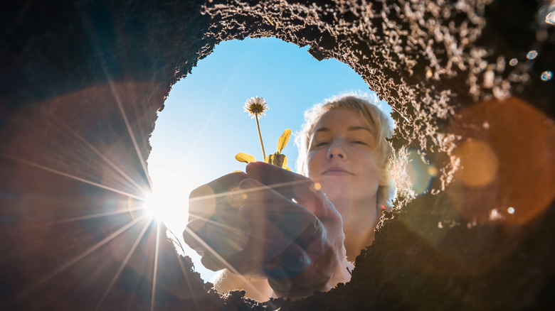 A woman holding a daisy plant above a hole in the ground