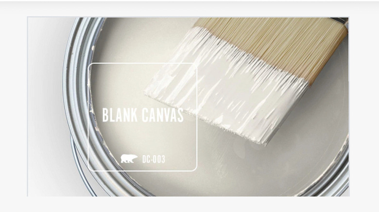 Behr paint blank canvas