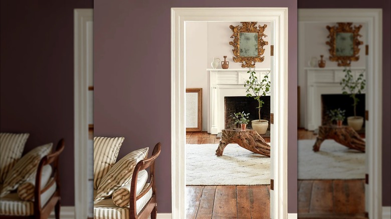 Benjamin Moore's 2025 Color of the Year is painted on a living room wall