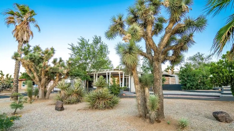 desert home and yard