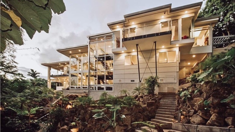 white home with foliage