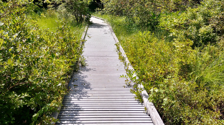 park in Acton, MA 