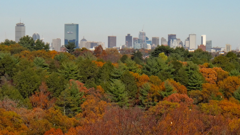 View of Boston from Jamaica Plain