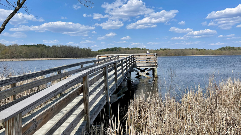 Great Meadows National Wildlife Refuge boardwalk