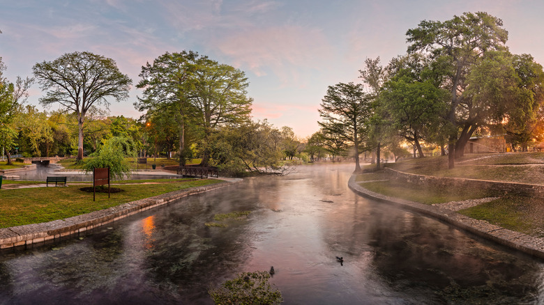 river with trees in park