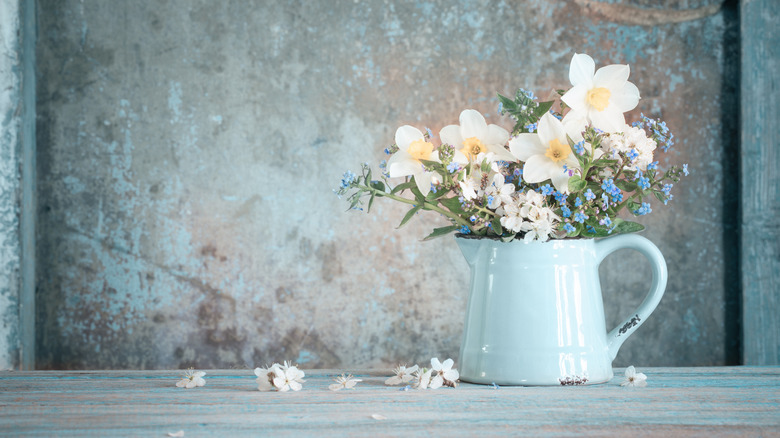 White daffodils in pitcher