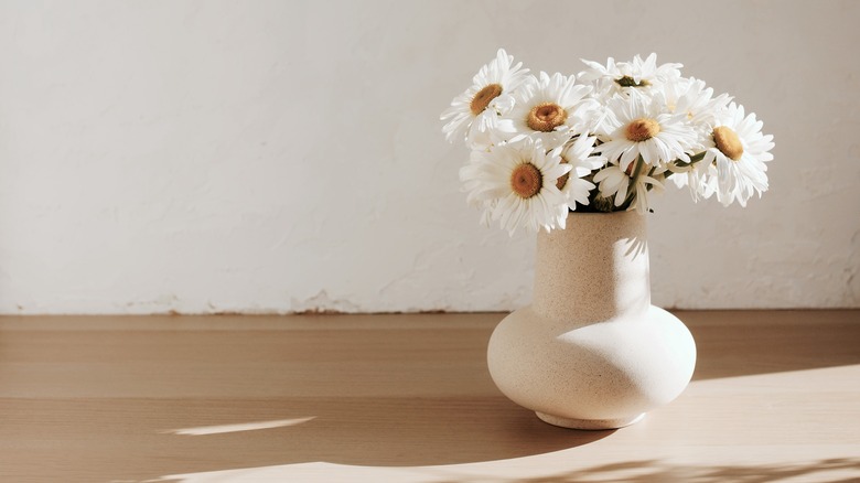 Daisies in vase