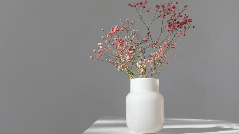 Pink dried flowers