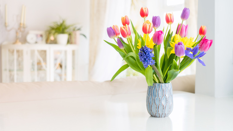 Different colored tulips