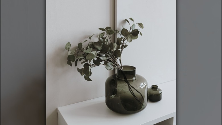 Eucalyptus in glass vase