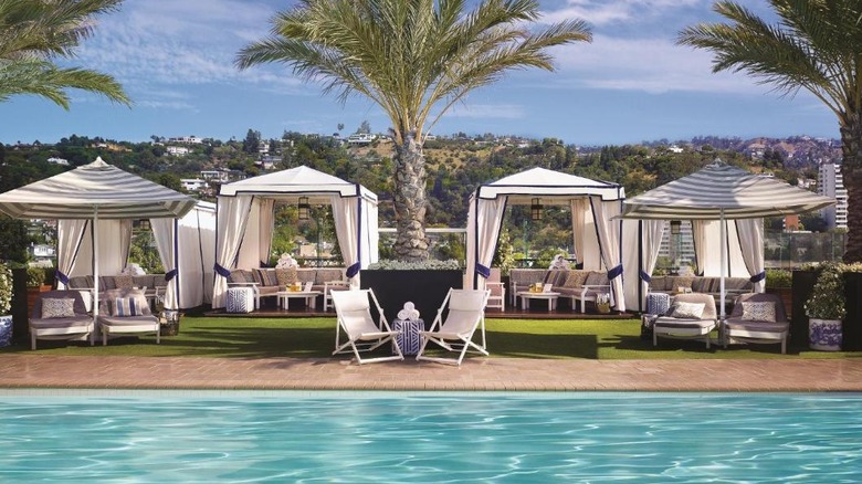 pool with cabanas and palm trees