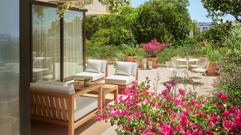 outdoor area with pink flowers