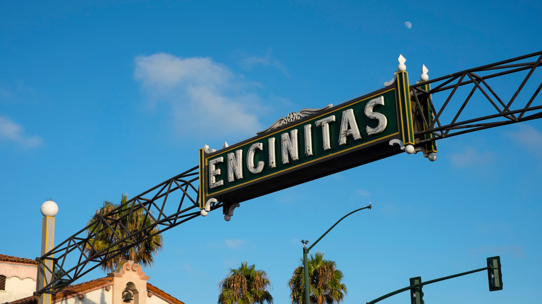 encinitas welcome sign on street