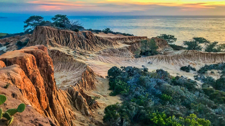 Torrey Hills state park