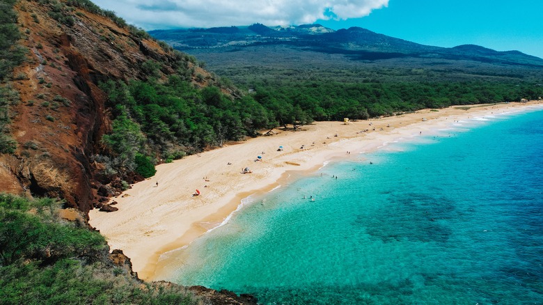 beach in Maui hawaii 