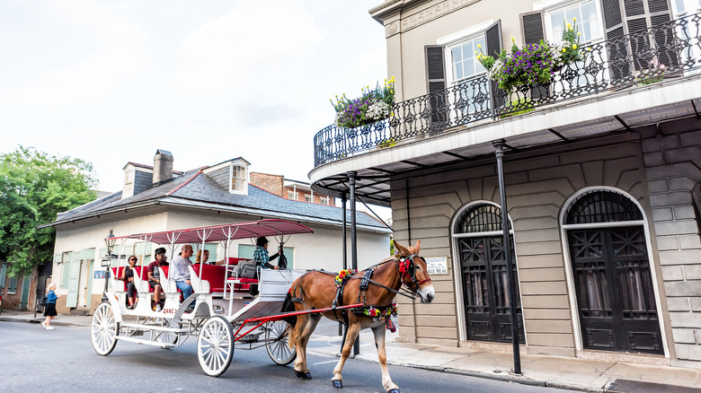 horse and carriage on street 