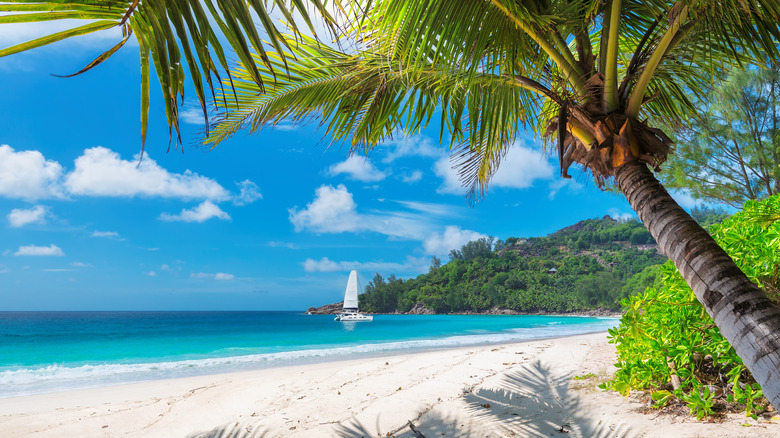 sandy beach and blue water 