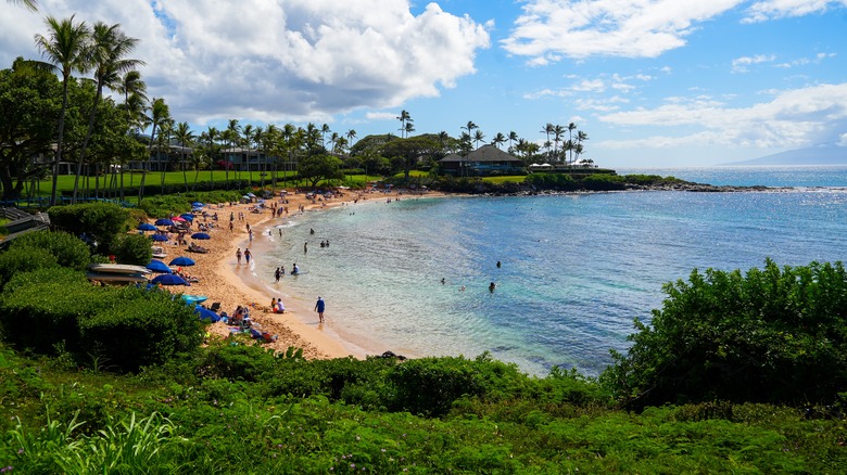 Kapalua Beach and a resort