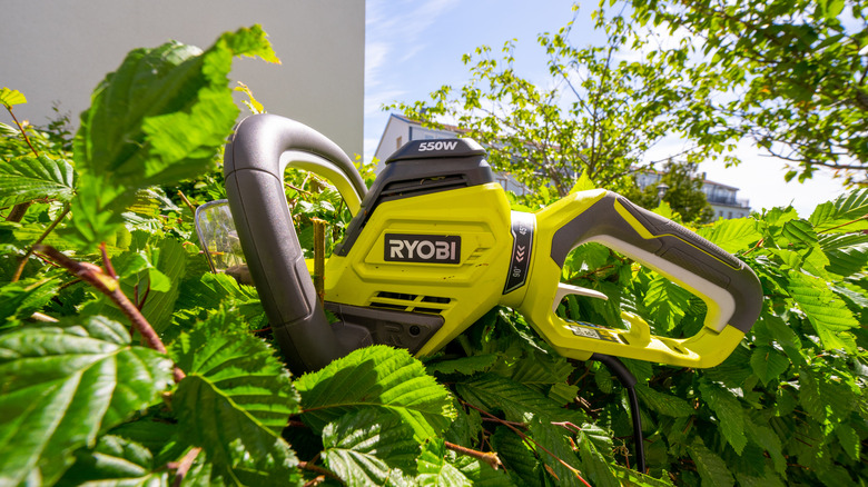 Ryobi branded garden tool