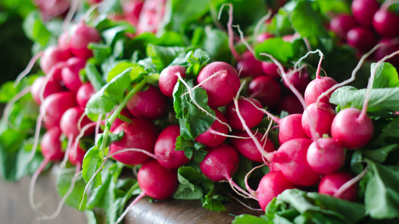 Radishes gathered in a bowl