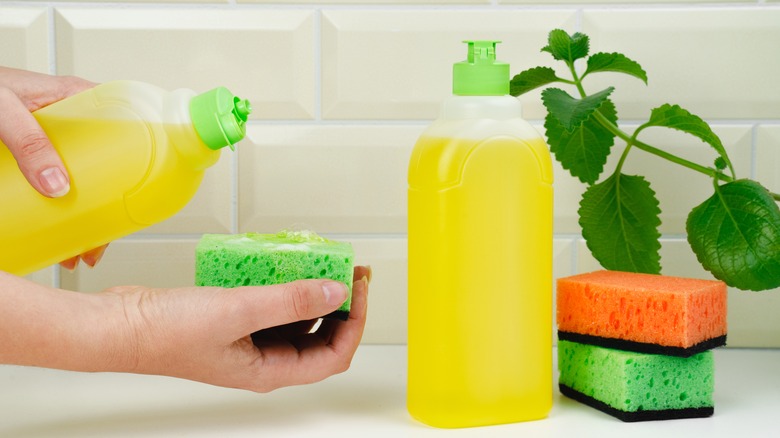 Dish soap and sponges