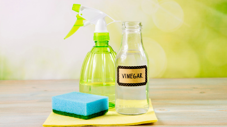 Bottle of vinegar and sponge