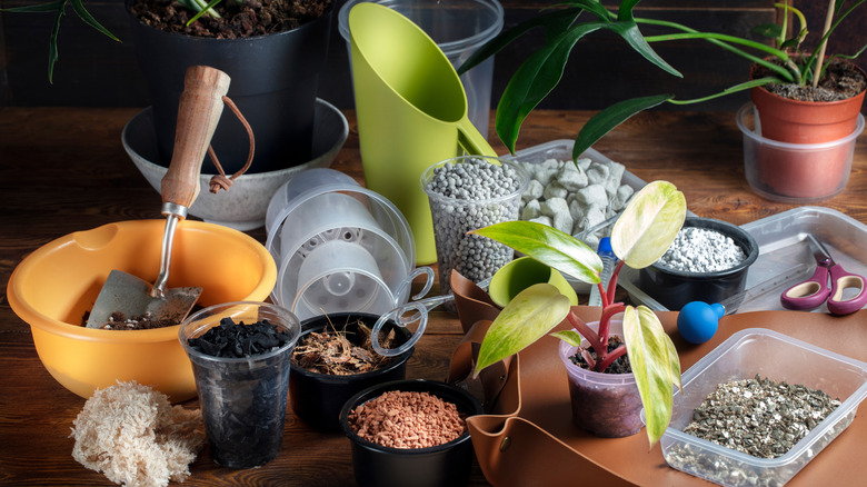 A collection of common ingredients in organic potting mix in different containers on a wooden table