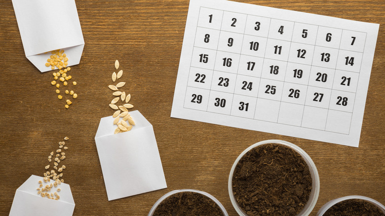 Seed packets and calendar